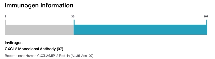 CXCL2 Monoclonal Antibody (07)