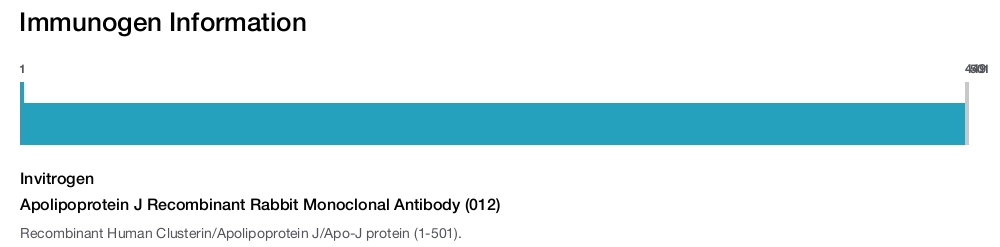 Apolipoprotein J Recombinant Rabbit Monoclonal Antibody (012)