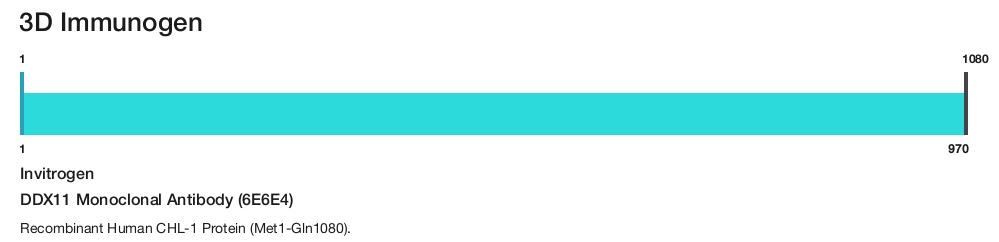 DDX11 Monoclonal Antibody (6E6E4)