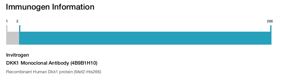 DKK1 Monoclonal Antibody (4B9B1H10)