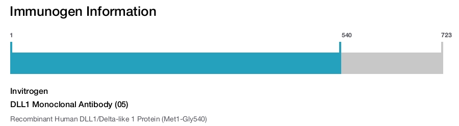 DLL1 Monoclonal Antibody (05)