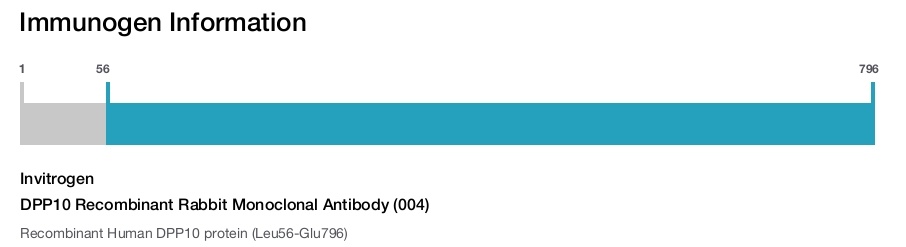 DPP10 Recombinant Rabbit Monoclonal Antibody (004)