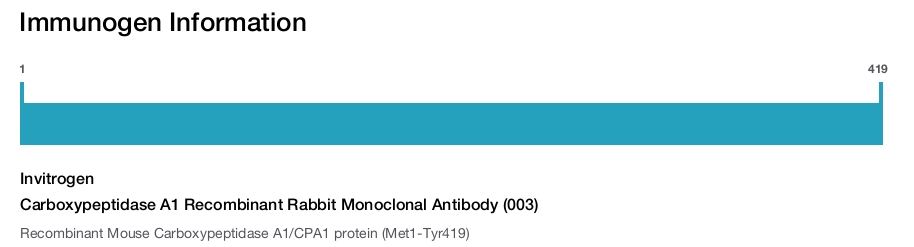 Carboxypeptidase A1 Recombinant Rabbit Monoclonal Antibody (003)