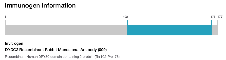 DYDC2 Recombinant Rabbit Monoclonal Antibody (009)