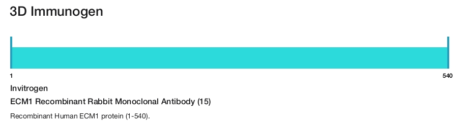 ECM1 Recombinant Rabbit Monoclonal Antibody (15)