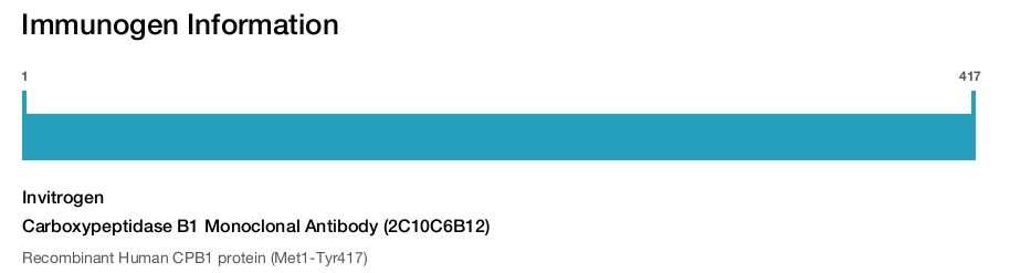 Carboxypeptidase B1 Monoclonal Antibody (2C10C6B12)