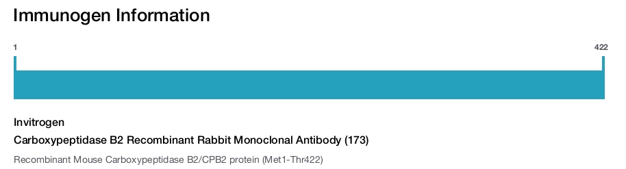 Carboxypeptidase B2 Recombinant Rabbit Monoclonal Antibody (173)