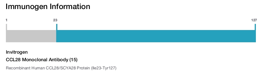 CCL28 Monoclonal Antibody (15)