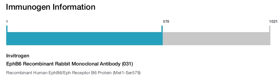 EphB6 Recombinant Rabbit Monoclonal Antibody (031)