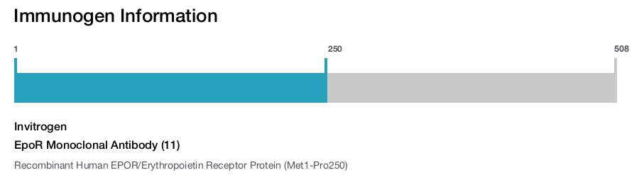 EpoR Monoclonal Antibody (11)