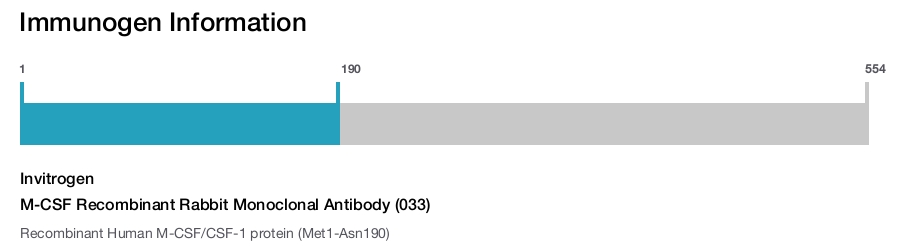 M-CSF Recombinant Rabbit Monoclonal Antibody (033)