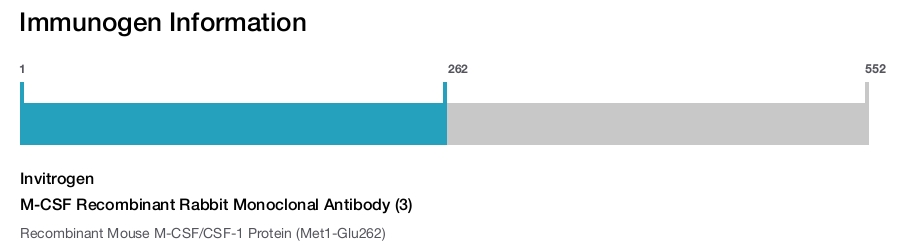 M-CSF Recombinant Rabbit Monoclonal Antibody (3)