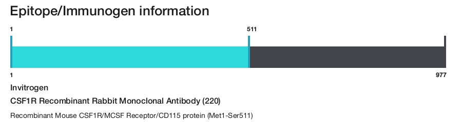 CSF1R Recombinant Rabbit Monoclonal Antibody (220)