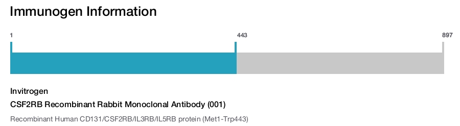 CSF2RB Recombinant Rabbit Monoclonal Antibody (001)