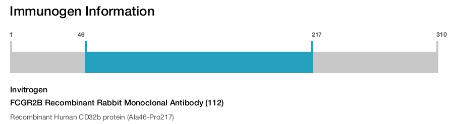 FCGR2B Recombinant Rabbit Monoclonal Antibody (112)