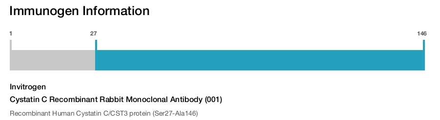 Cystatin C Recombinant Rabbit Monoclonal Antibody (001)