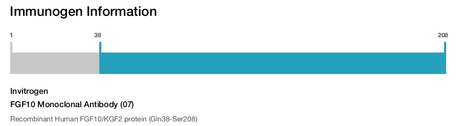 FGF10 Monoclonal Antibody (07)