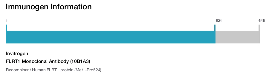 FLRT1 Monoclonal Antibody (10B1A3)
