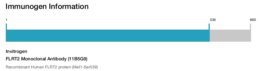 FLRT2 Monoclonal Antibody (11B5G9)