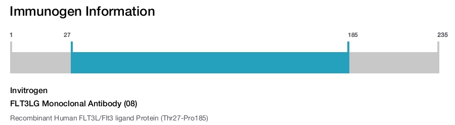 FLT3LG Monoclonal Antibody (08)