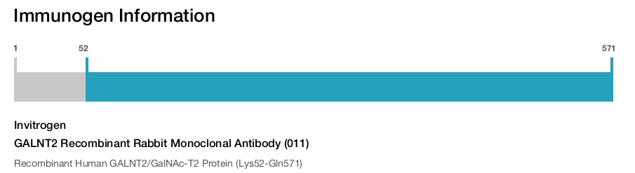 GALNT2 Recombinant Rabbit Monoclonal Antibody (011)