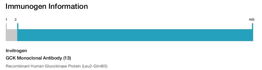 GCK Monoclonal Antibody (13)