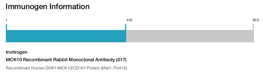 MCK10 Recombinant Rabbit Monoclonal Antibody (017)