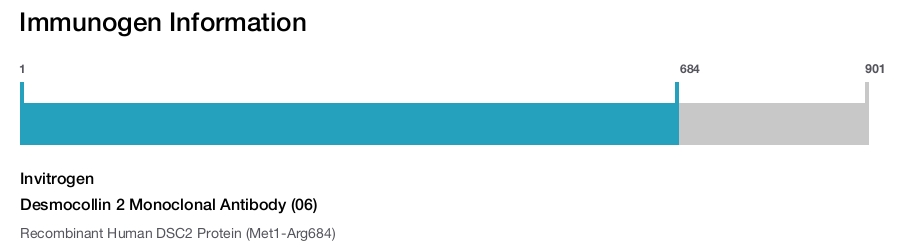 Desmocollin 2 Monoclonal Antibody (06)