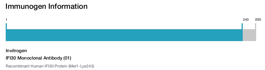 IFI30 Monoclonal Antibody (01)