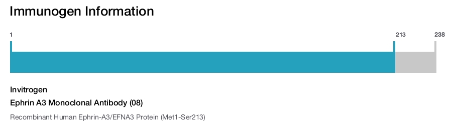 Ephrin A3 Monoclonal Antibody (08)