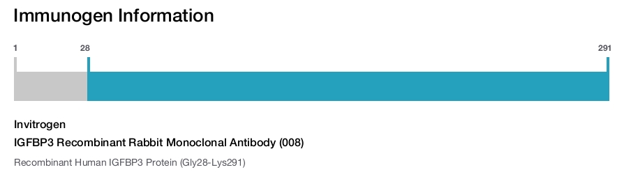 IGFBP3 Recombinant Rabbit Monoclonal Antibody (008)