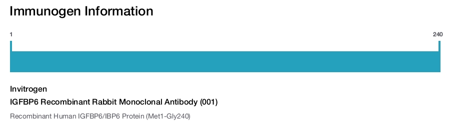 IGFBP6 Recombinant Rabbit Monoclonal Antibody (001)