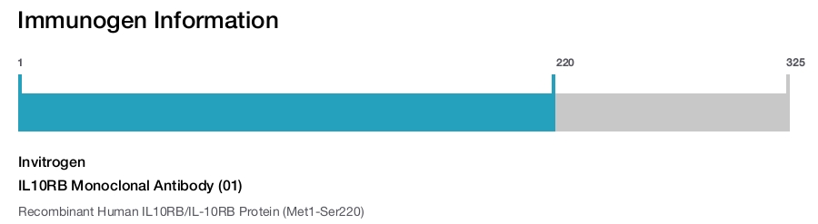 IL10RB Monoclonal Antibody (01)
