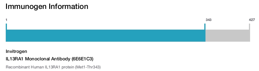 IL13RA1 Monoclonal Antibody (6E6E1C3)