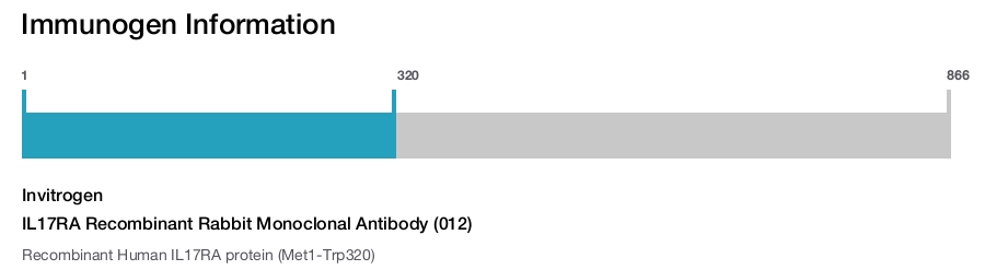 IL17RA Recombinant Rabbit Monoclonal Antibody (012)