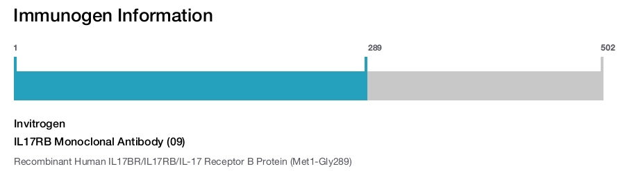 IL17RB Monoclonal Antibody (09)