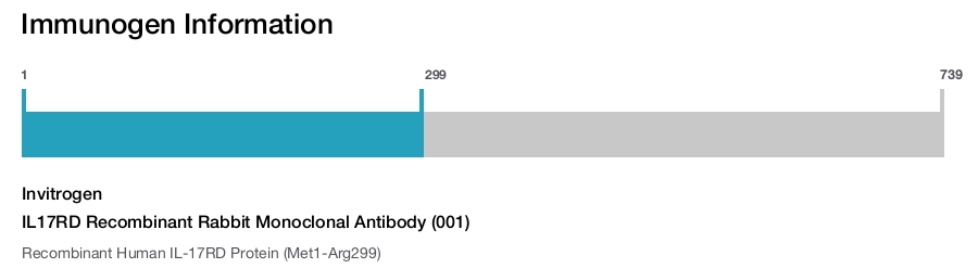 IL17RD Recombinant Rabbit Monoclonal Antibody (001)