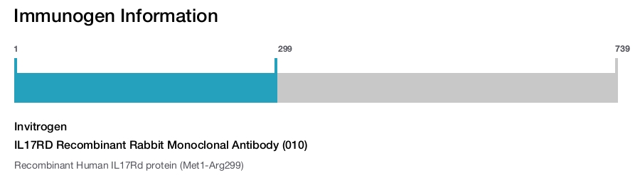 IL17RD Recombinant Rabbit Monoclonal Antibody (010)