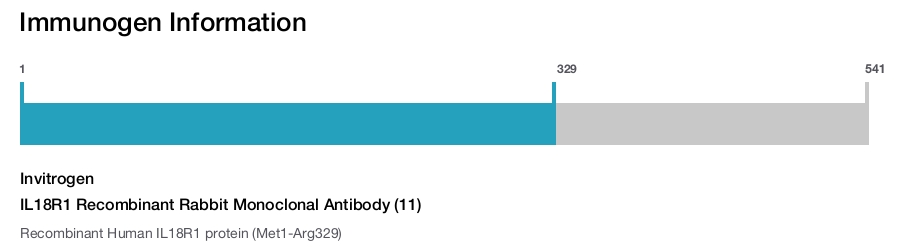 IL18R1 Recombinant Rabbit Monoclonal Antibody (11)