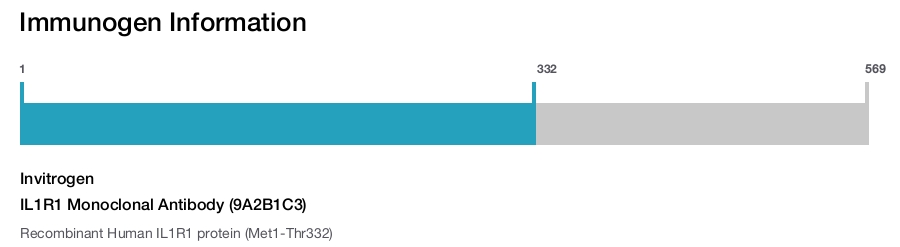IL1R1 Monoclonal Antibody (9A2B1C3)