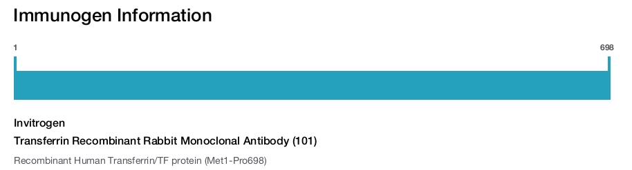 Transferrin Recombinant Rabbit Monoclonal Antibody (101)
