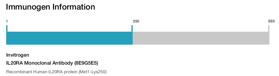 IL20RA Monoclonal Antibody (8E9G5E5)