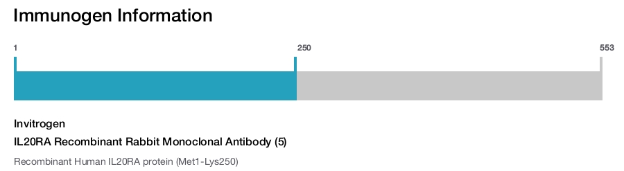 IL20RA Recombinant Rabbit Monoclonal Antibody (5)