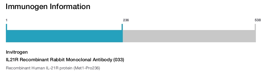 IL21R Recombinant Rabbit Monoclonal Antibody (033)