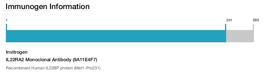 IL22RA2 Monoclonal Antibody (9A11E4F7)