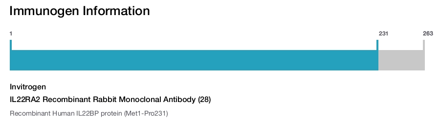 IL22RA2 Recombinant Rabbit Monoclonal Antibody (28)