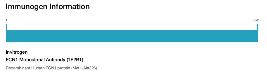 FCN1 Monoclonal Antibody (1E2B1)