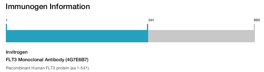 FLT3 Monoclonal Antibody (4G7E6B7)