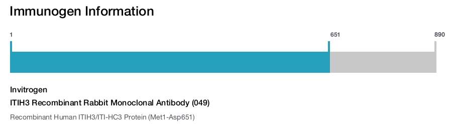 ITIH3 Recombinant Rabbit Monoclonal Antibody (049)