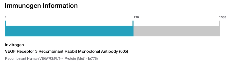 VEGF Receptor 3 Recombinant Rabbit Monoclonal Antibody (005)